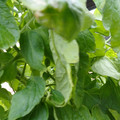 159901_20171215135922_02.JPG