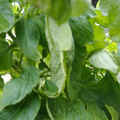 159901_20171215135922_04.JPG