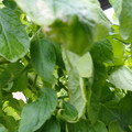159901_20171215135923_01.JPG