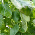 159901_20171215135923_02.JPG