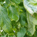159901_20171215135923_04.JPG