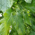 159901_20171215135925_01.JPG