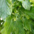 159901_20171215135925_02.JPG