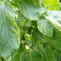 159901_20171215135925_03.JPG
