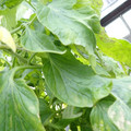 159901_20171215135926_03.JPG