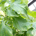159901_20171215135926_04.JPG