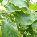 159901_20171215135927_01.JPG