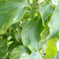 159901_20171215135927_03.JPG