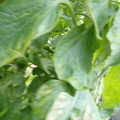159901_20171215135927_04.JPG