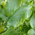 159901_20171215135928_01.JPG