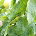 159901_20171215135929_04.JPG
