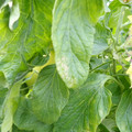 159901_20171215135930_02.JPG