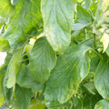 159901_20171215135930_04.JPG
