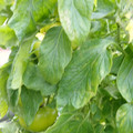 159901_20171215135930_05.JPG