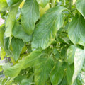 159901_20171215135931_02.JPG