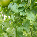159901_20171215135934_01.JPG