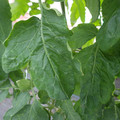159902_20171025095813_01.JPG
