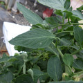 159902_20171025100102_01.JPG