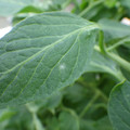 159902_20171025100113_01.JPG