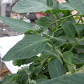159902_20171025100130_01.JPG