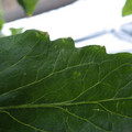 159902_20171025100218_01.JPG