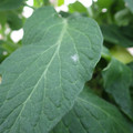 159902_20171025100250_01.JPG