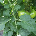 159902_20171025100334_01.JPG