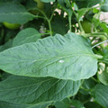 159902_20171025100451_01.JPG