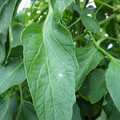 159902_20171025100739_01.JPG