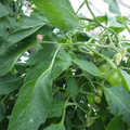 159902_20171025100824_01.JPG