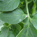 159902_20171025100849_01.JPG