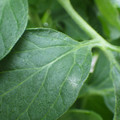 159902_20171025100858_01.JPG