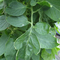 159902_20171025100908_01.JPG