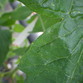 159902_20171025101233_01.JPG