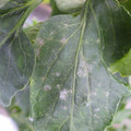 159902_20171108090410_01.JPG
