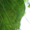 159902_20171108091906_01.JPG