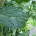 159902_20171108091954_01.JPG