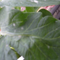 159902_20171108092507_01.JPG