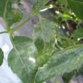 159902_20171115103804_01.JPG