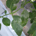 159902_20171115103841_01.JPG