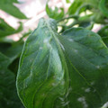 159902_20171115104704_01.JPG
