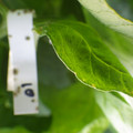 159902_20171115104723_01.JPG