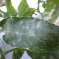159902_20171115105508_01.JPG