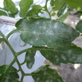 159902_20171115105513_01.JPG