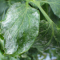 159902_20171122103629_01.JPG