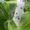 159902_20171122104547_01.JPG