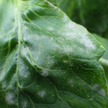 159902_20171122105501_01.JPG
