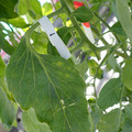 159902_20171128114208_01.JPG