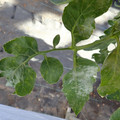 159902_20171128114219_01.JPG