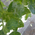 159902_20171128114233_01.JPG